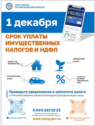 Уплатить исчисленные налоги необходимо не позднее 1 декабря 2025 года.